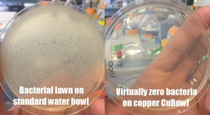 Bowl surface comparison graphic
