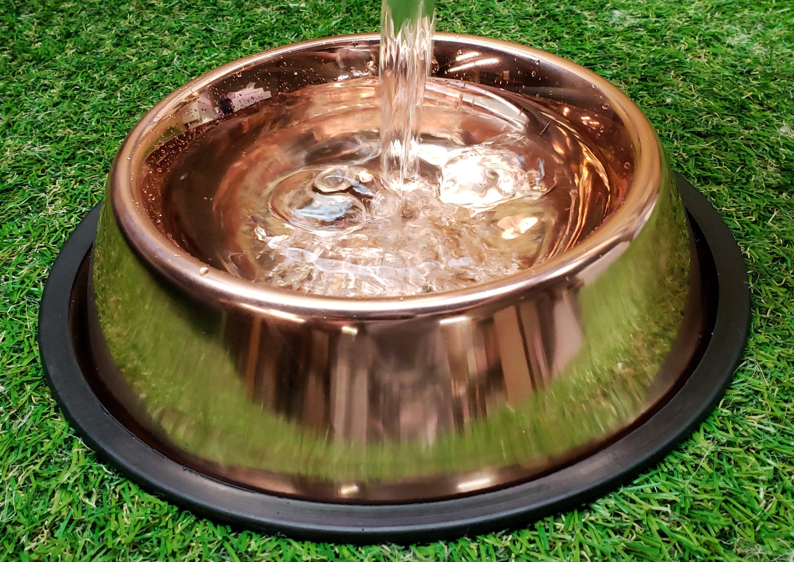 Copper Pet Bowl